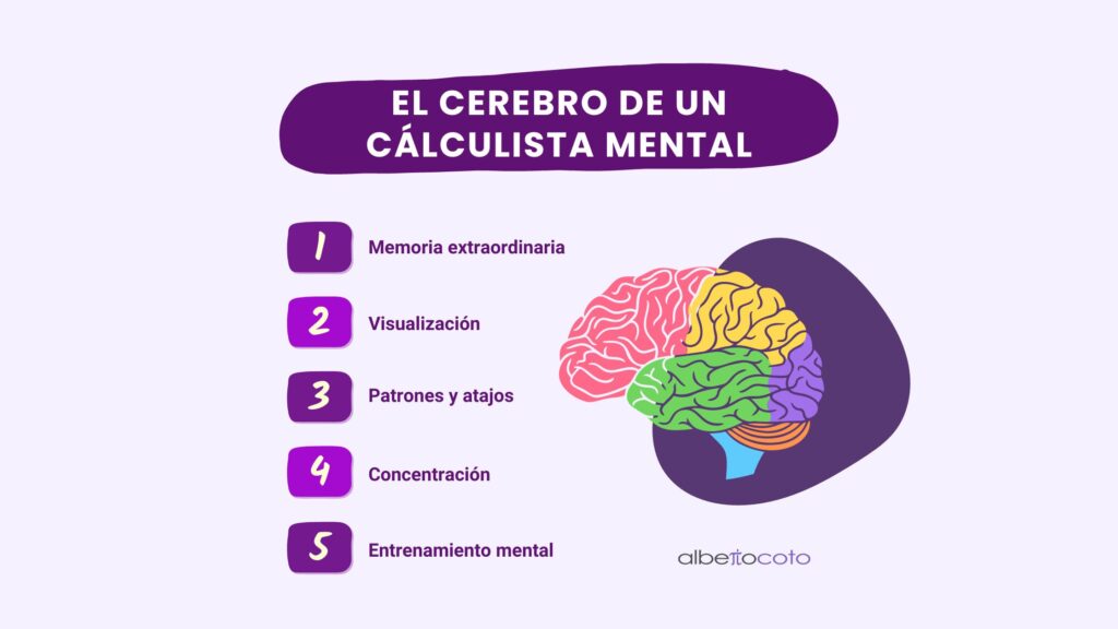 El cerebro de un calculista mental